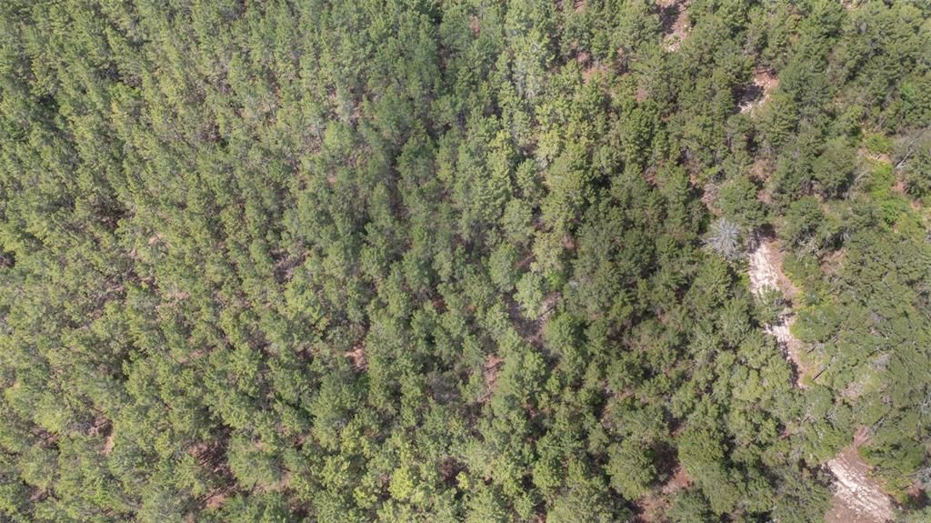 For Sale: $261,250 (10.06 acres)