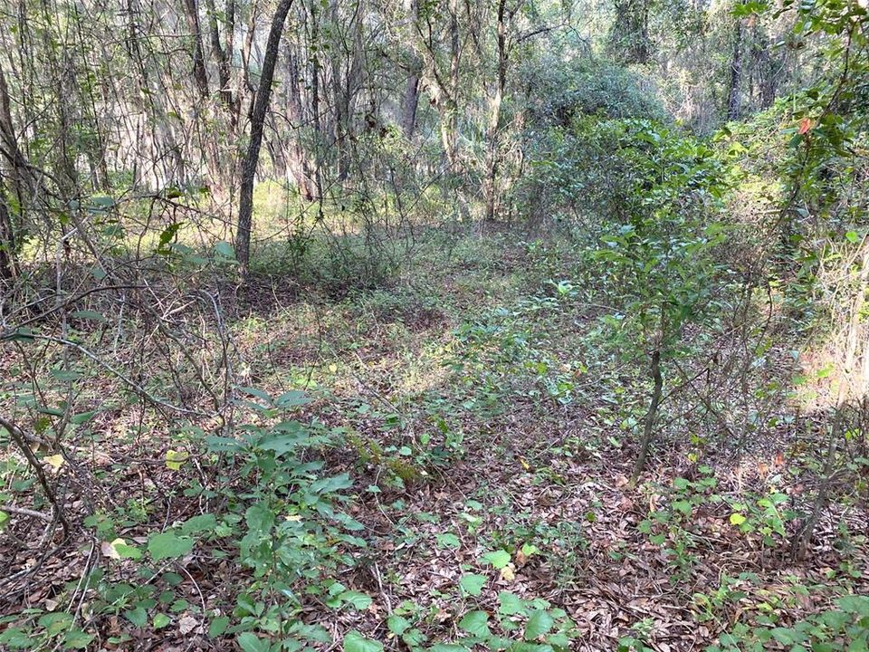 На продажу: $59,900 (0.64 acres)