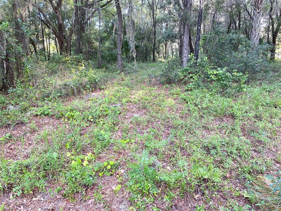 На продажу: $59,900 (0.64 acres)