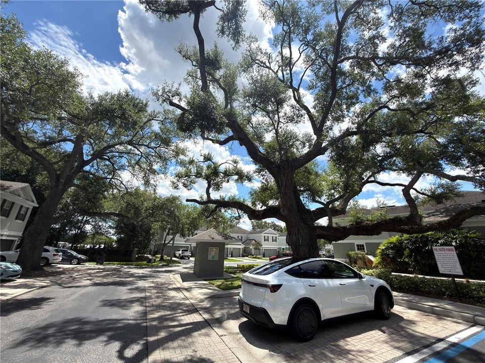For Sale: $235,000 (2 beds, 2 baths, 1240 Square Feet)