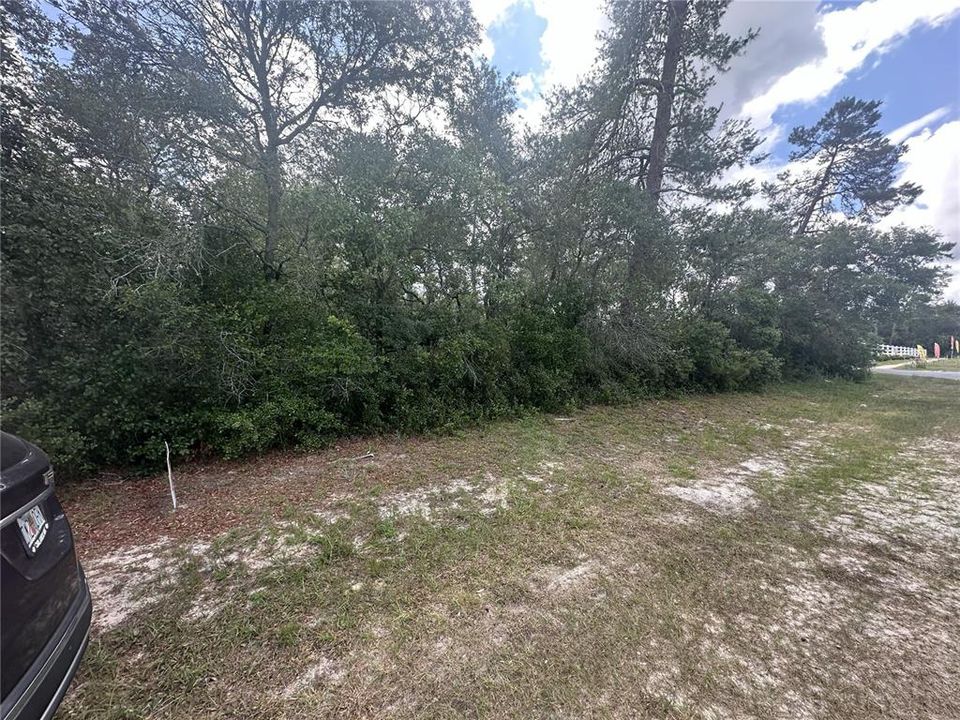 На продажу: $79,900 (0.69 acres)