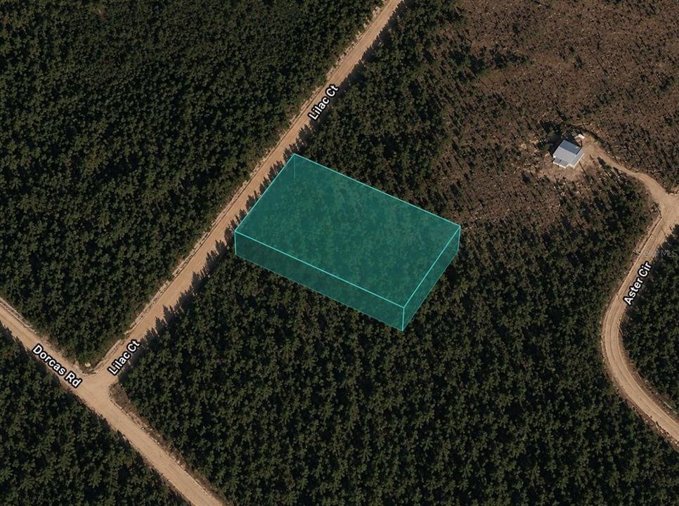 For Sale: $7,995 (0.99 acres)