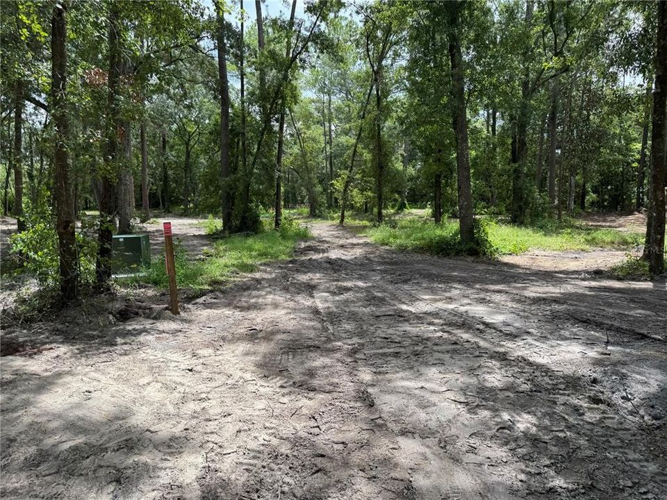 For Sale: $210,000 (2.50 acres)