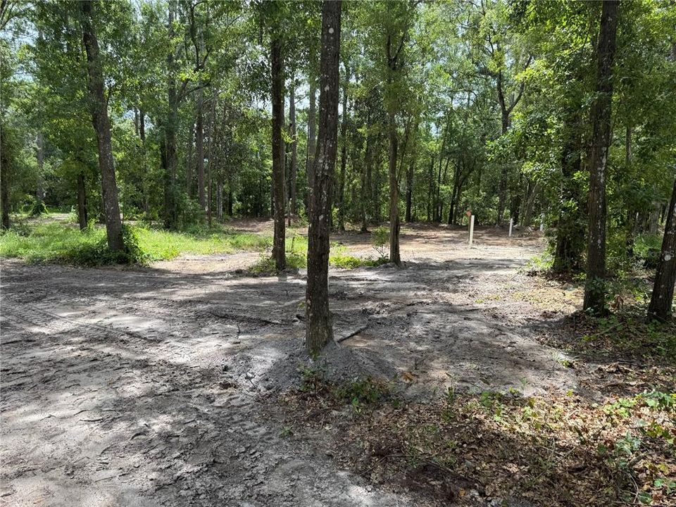 For Sale: $210,000 (2.50 acres)
