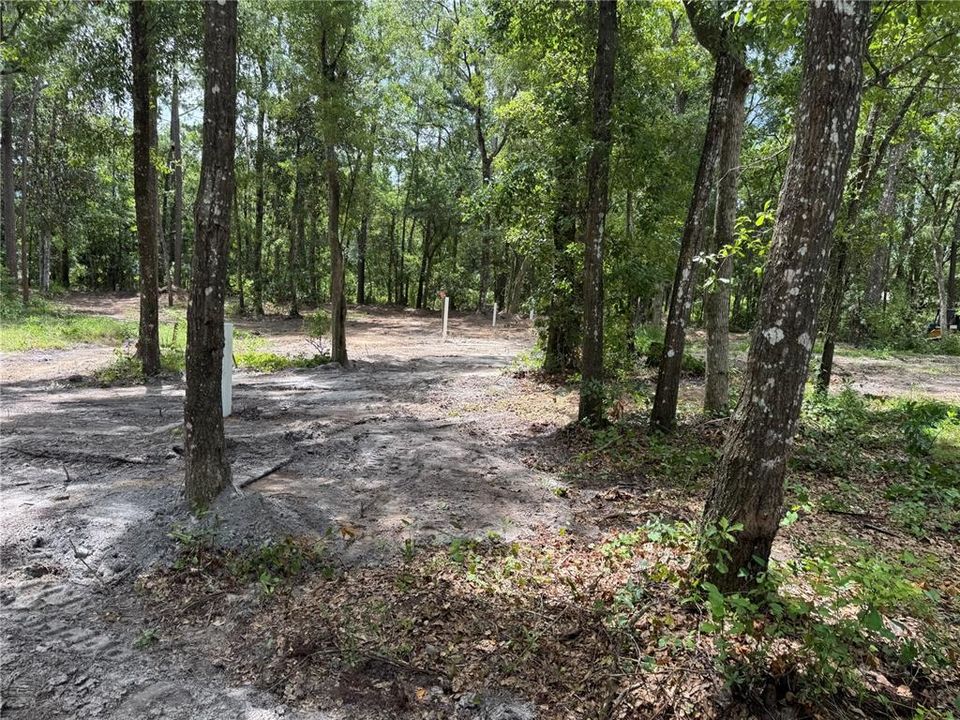 For Sale: $210,000 (2.50 acres)