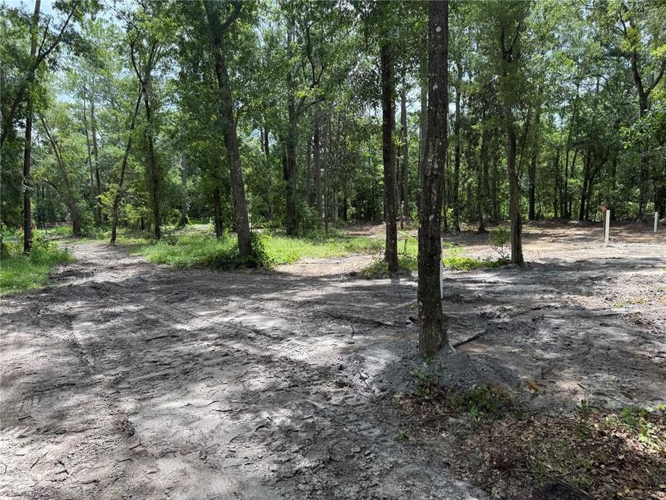 For Sale: $210,000 (2.50 acres)