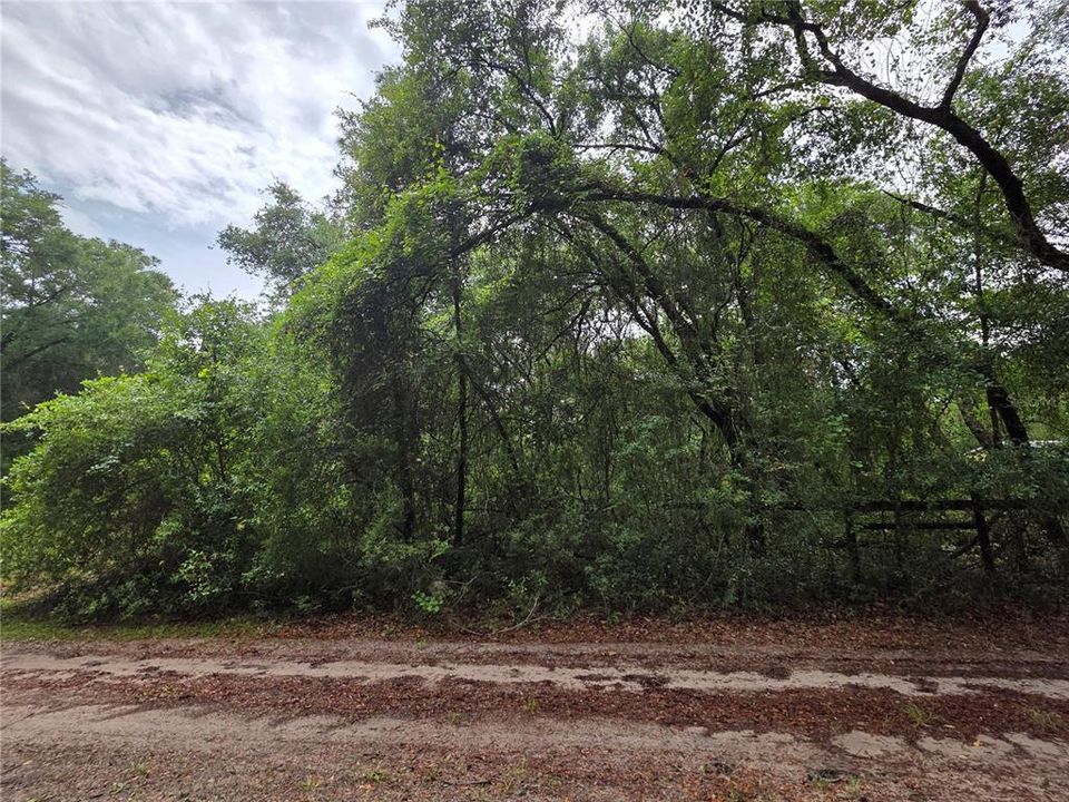 待售: $8,200 (0.19 acres)