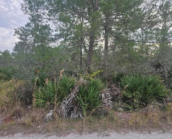 En Venta: $20,900 (0.24 acres)