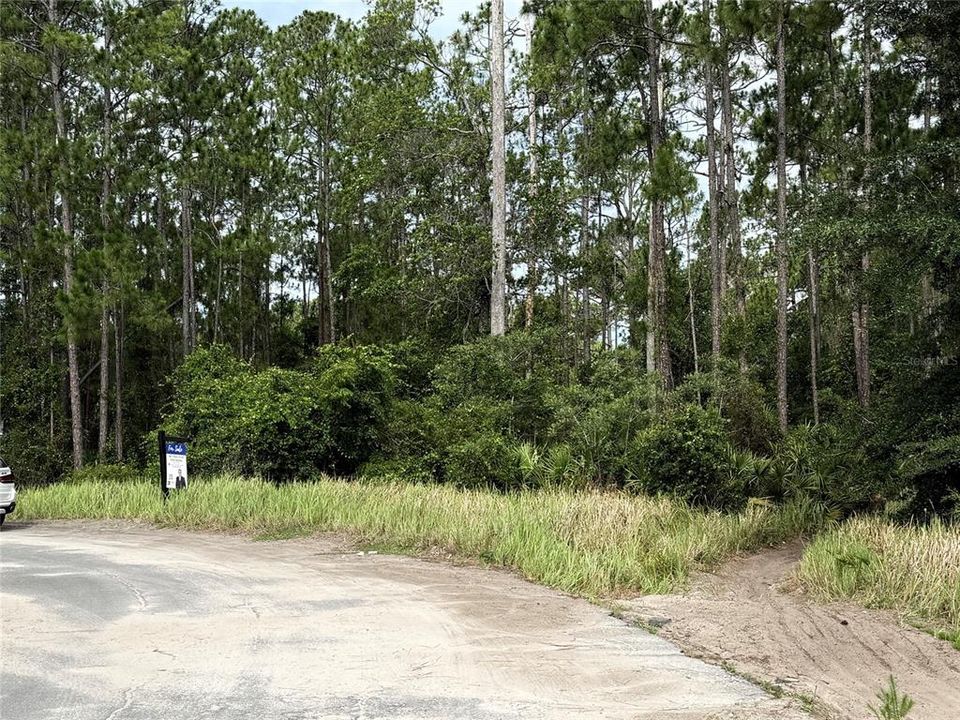 For Sale: $480,000 (5.00 acres)