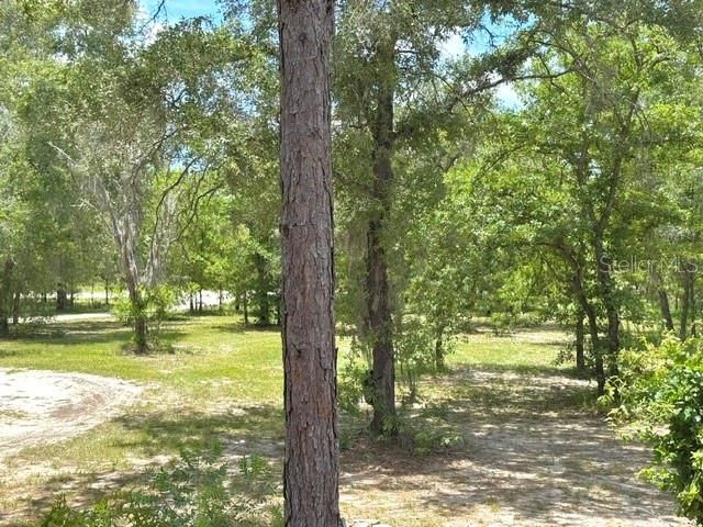 For Sale: $249,900 (3 beds, 2 baths, 1080 Square Feet)