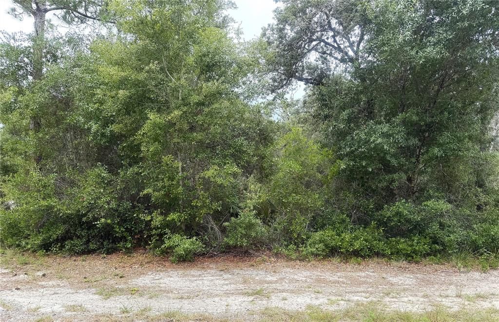 Vendido Recientemente: $18,599 (0.27 acres)