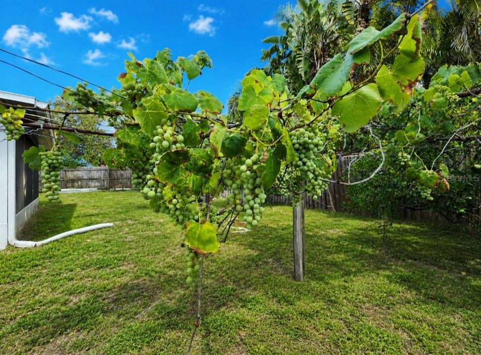 For Sale: $369,000 (2 beds, 2 baths, 1397 Square Feet)