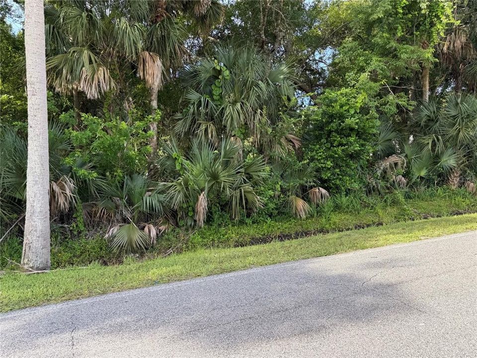 На продажу: $95,000 (0.55 acres)