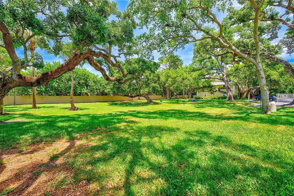 En Venta: $239,000 (2 camas, 2 baños, 910 Pies cuadrados)