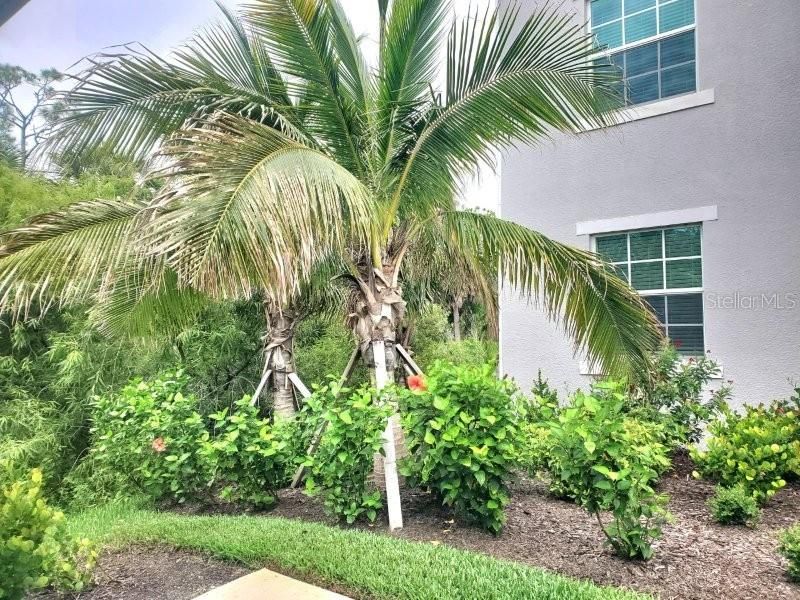 For Rent: $1,900 (3 beds, 2 baths, 1301 Square Feet)