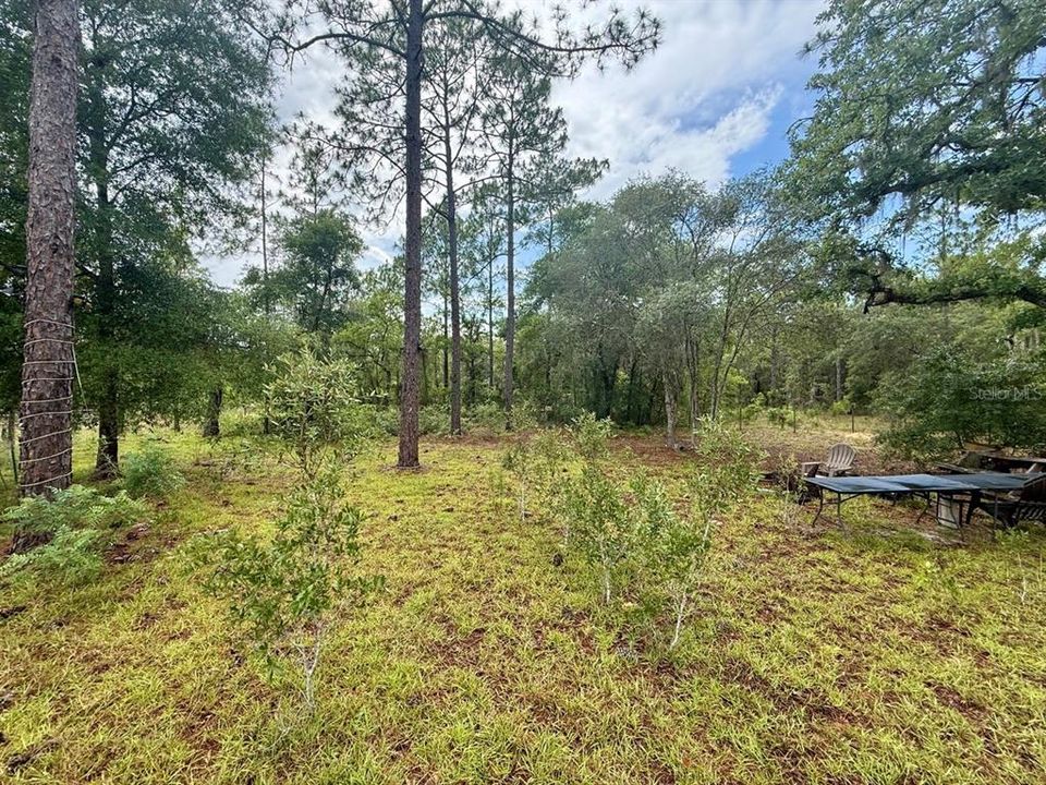 For Sale: $8,000 (0.23 acres)
