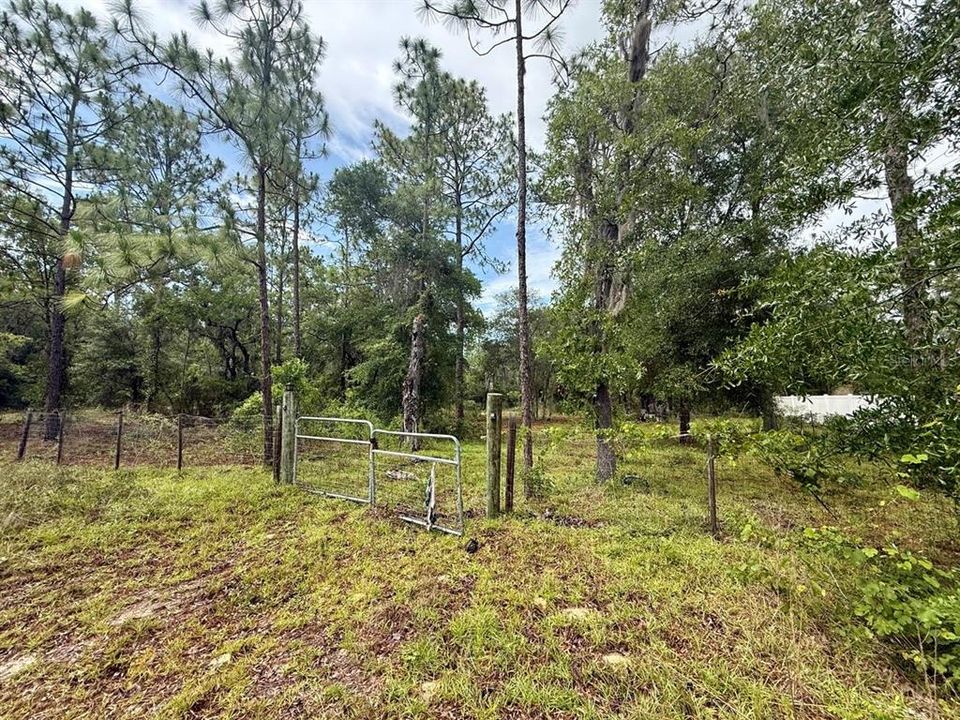 For Sale: $8,000 (0.23 acres)