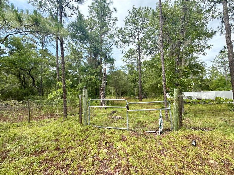 For Sale: $8,000 (0.23 acres)