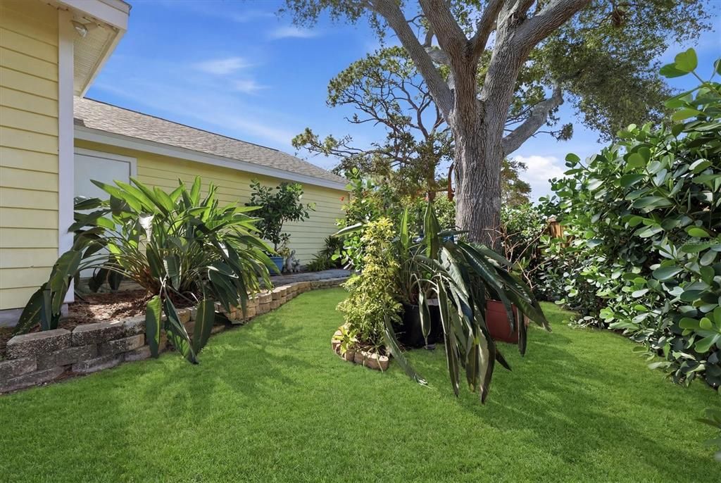 For Sale: $415,000 (3 beds, 2 baths, 1498 Square Feet)