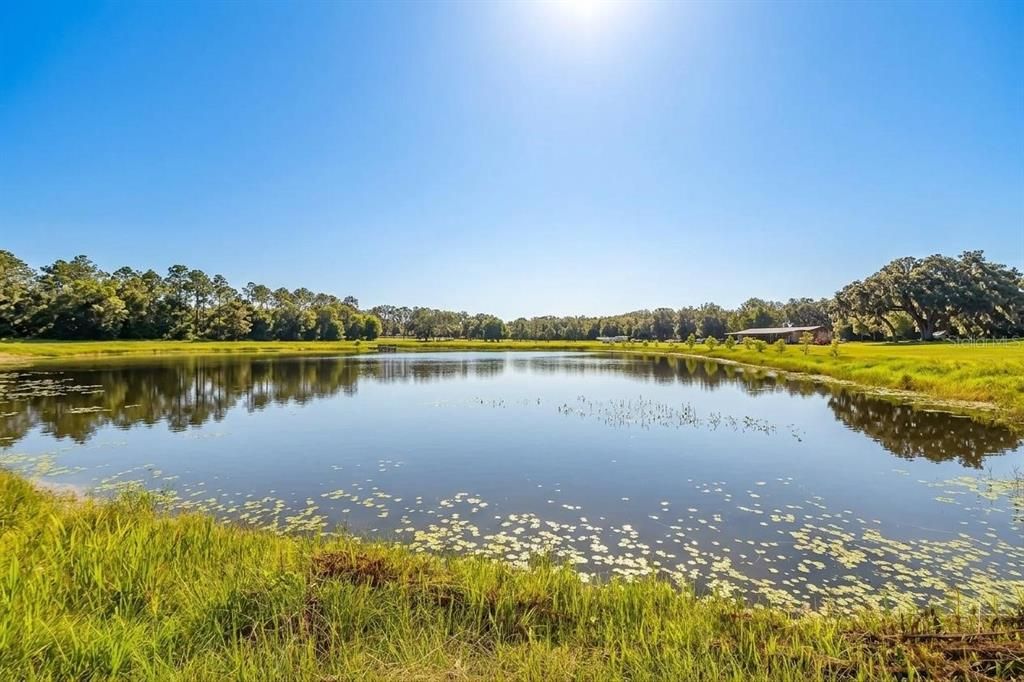 На продажу: $2,100,000 (46.67 acres)