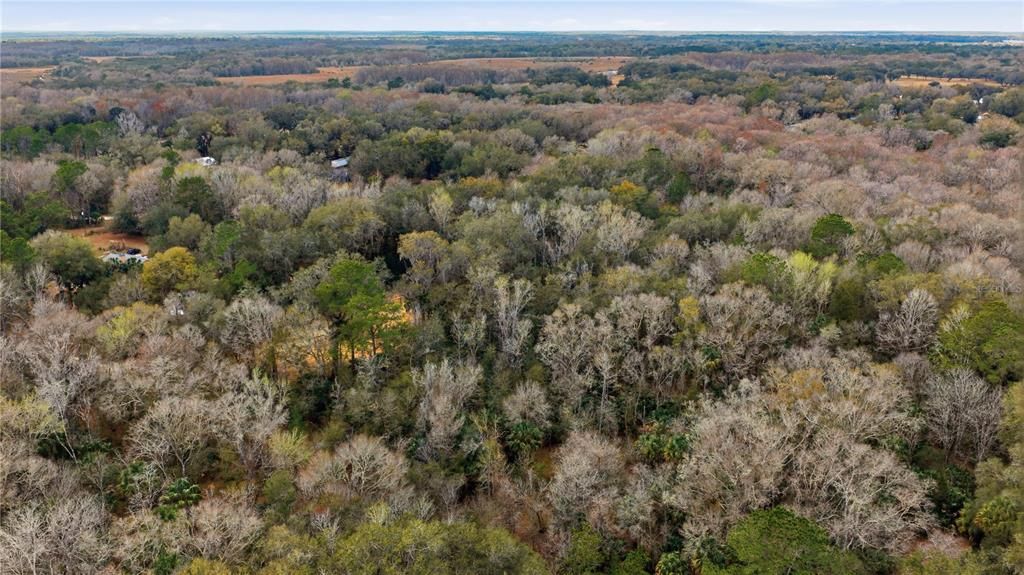 En Venta: $64,900 (1.22 acres)