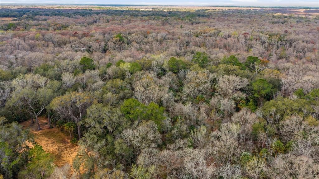 En Venta: $64,900 (1.22 acres)