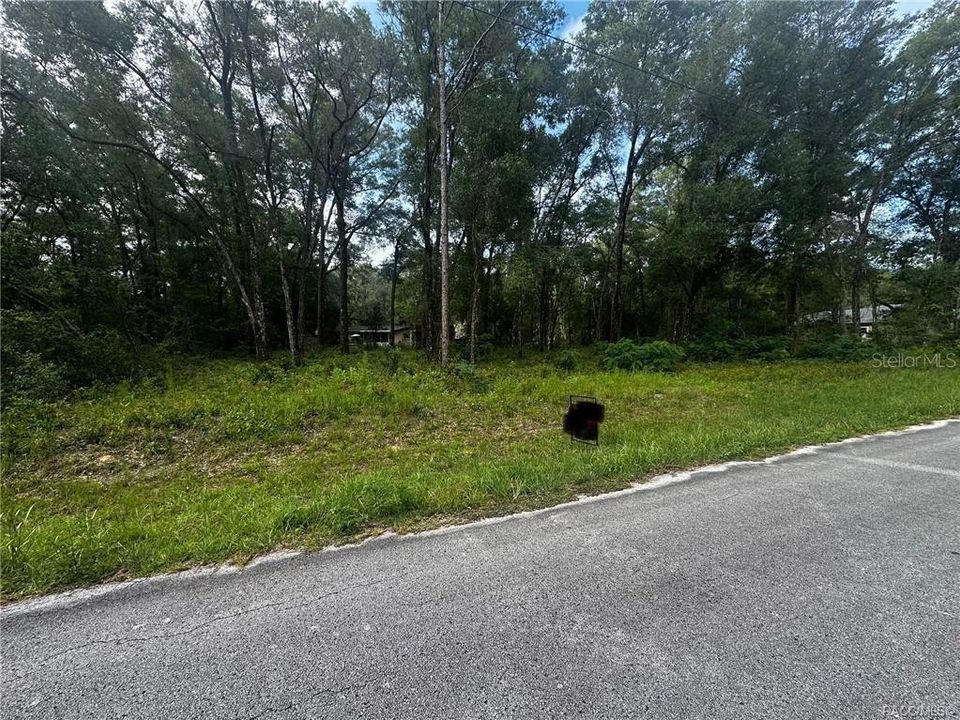 For Sale: $22,000 (0.33 acres)