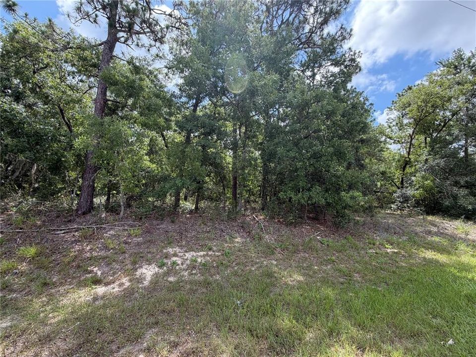 На продажу: $41,000 (0.40 acres)