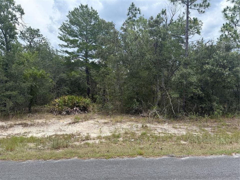 For Sale: $50,000 (1.15 acres)