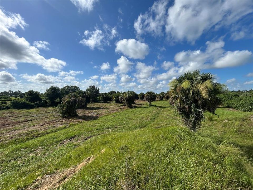 For Sale: $157,000 (2.50 acres)