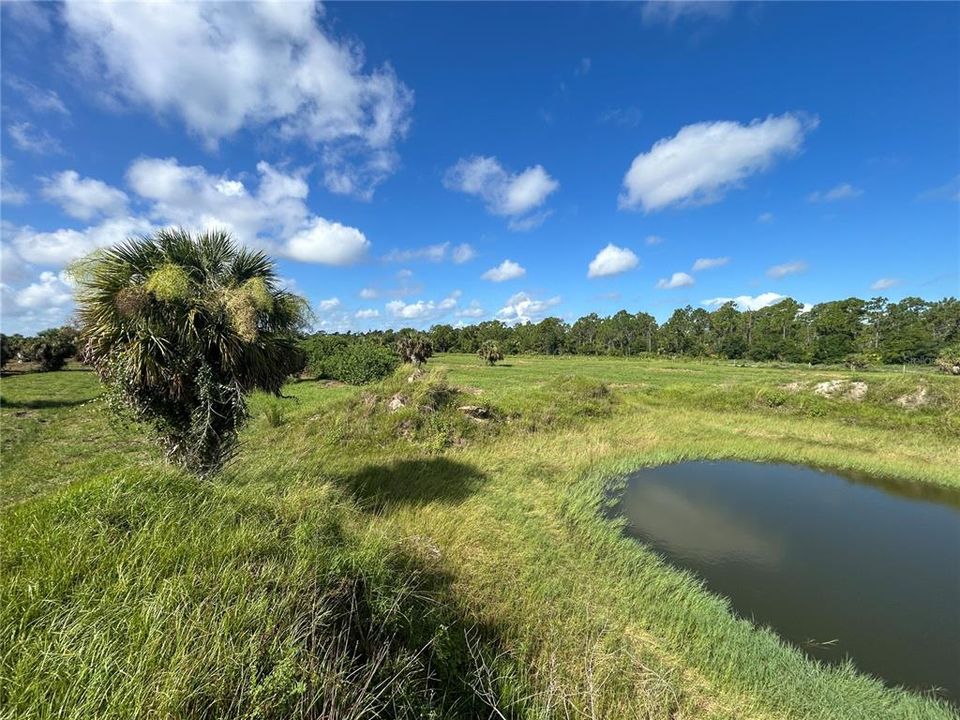 For Sale: $157,000 (2.50 acres)