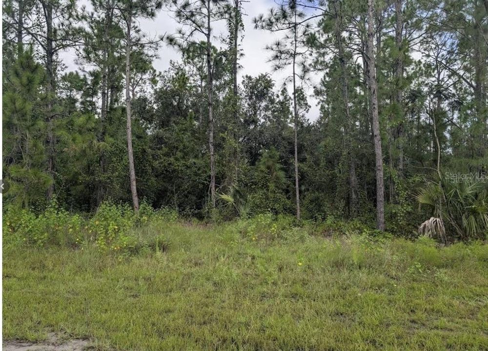 For Sale: $75,000 (0.53 acres)