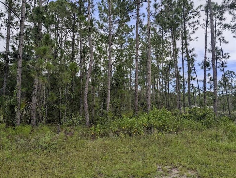 For Sale: $75,000 (0.53 acres)