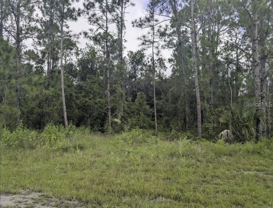 For Sale: $75,000 (0.53 acres)