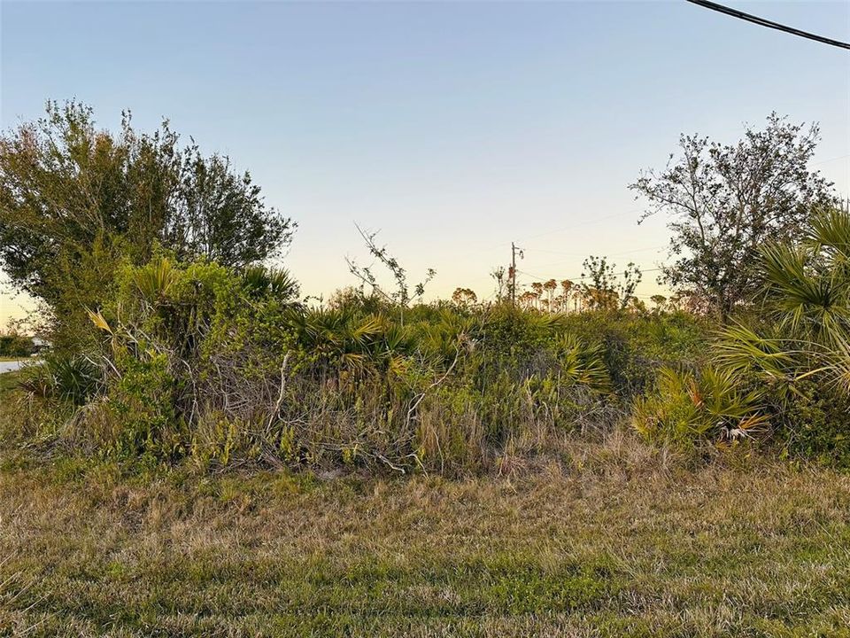 For Sale: $42,500 (0.31 acres)