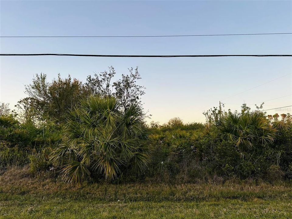 For Sale: $42,500 (0.31 acres)