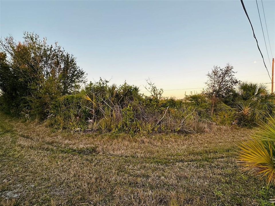 For Sale: $42,500 (0.31 acres)