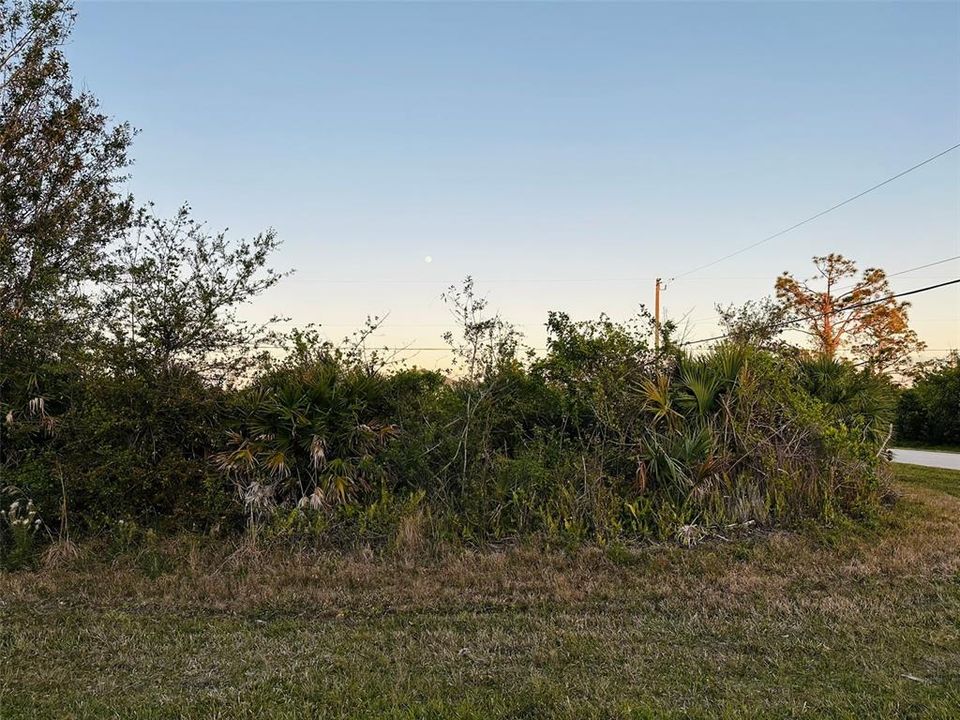 For Sale: $42,500 (0.31 acres)