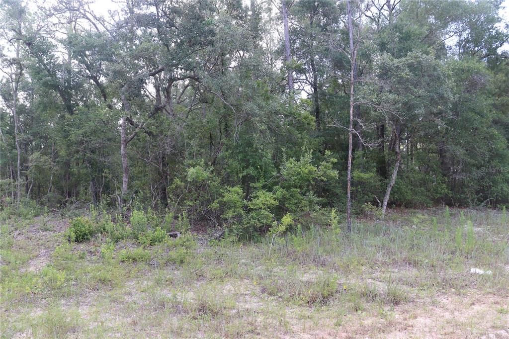 На продажу: $17,500 (0.28 acres)