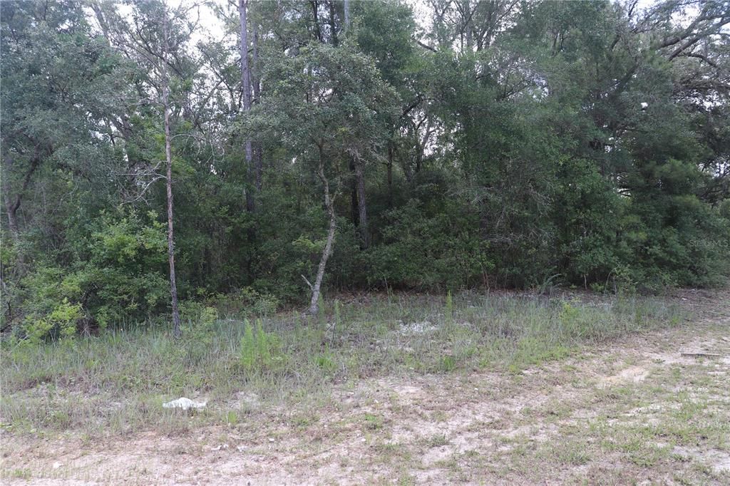 На продажу: $17,500 (0.28 acres)