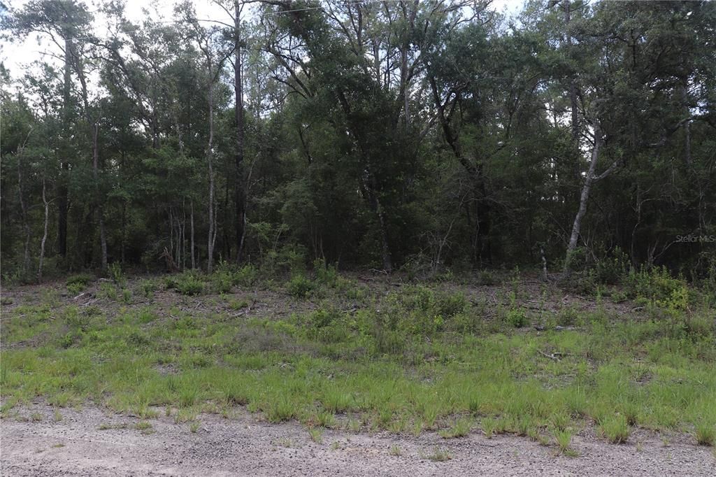На продажу: $17,500 (0.28 acres)