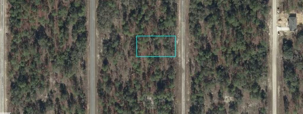 For Sale: $13,900 (0.25 acres)