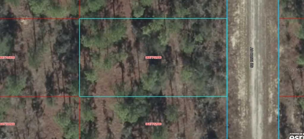 For Sale: $13,900 (0.25 acres)