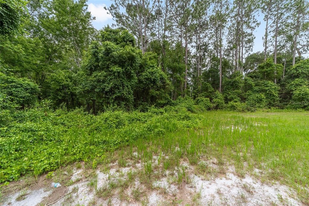 На продажу: $119,999 (4.46 acres)