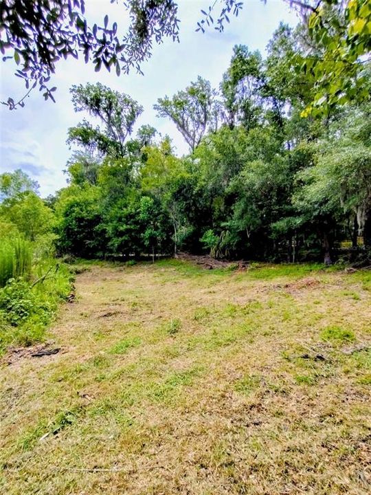 For Sale: $50,000 (0.31 acres)