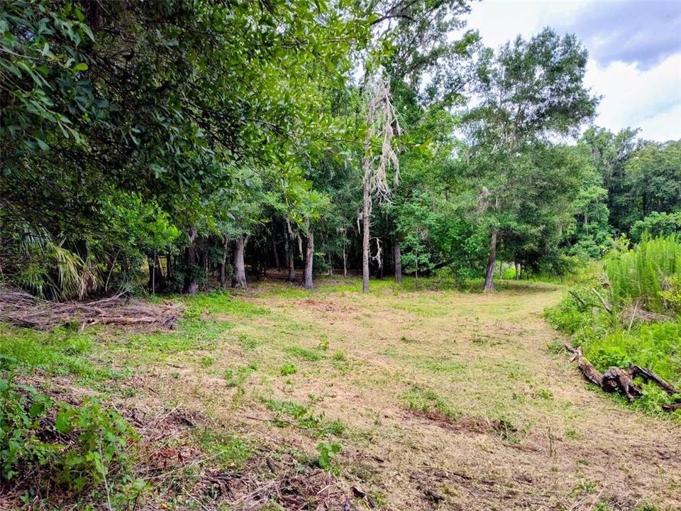For Sale: $50,000 (0.31 acres)