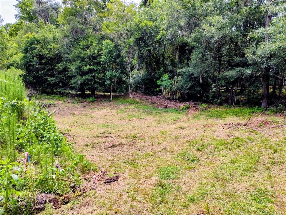 For Sale: $50,000 (0.31 acres)