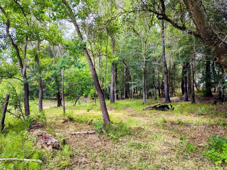For Sale: $50,000 (0.31 acres)