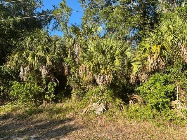 На продажу: $38,500 (0.46 acres)
