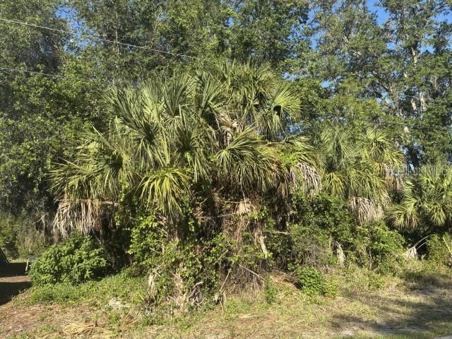 На продажу: $38,500 (0.46 acres)